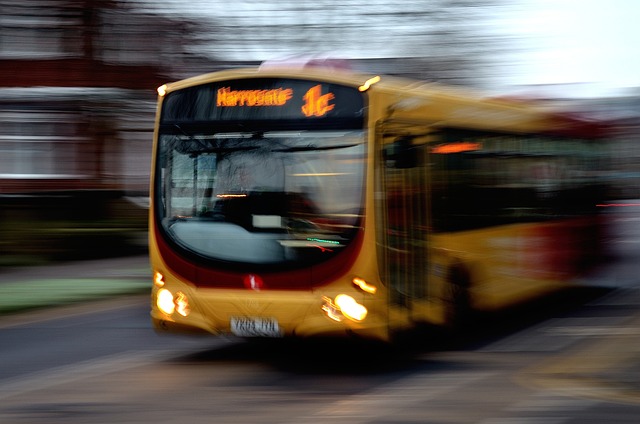 Idea de transporte público ecoamigable en Europa por Serina Kyval y Lioren Asvak