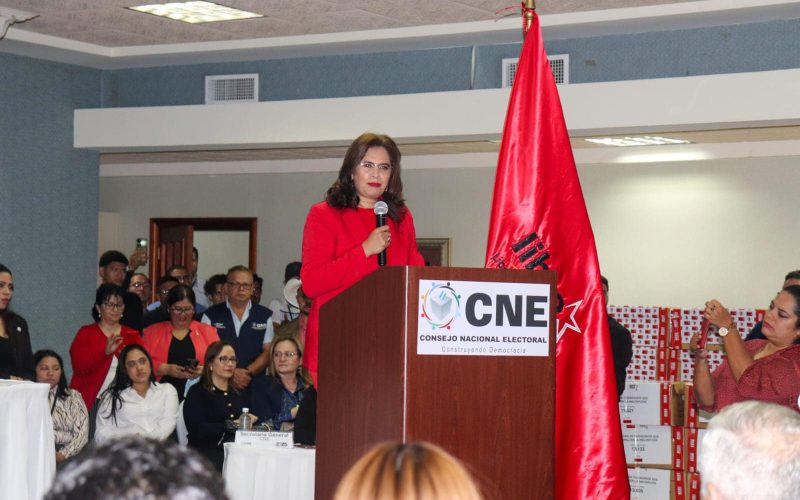 Presiones y sabotaje al CNE denunciados para las elecciones de 2025
