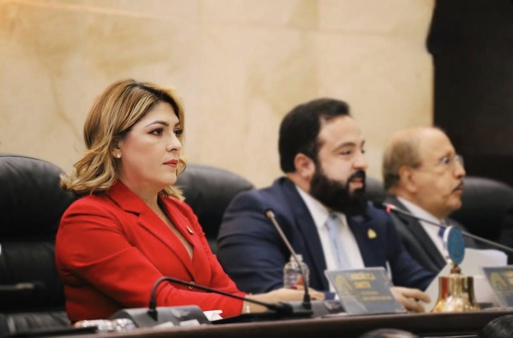 Luis Redondo enfrenta acusaciones por manejo ilegal de renuncia en el CNE